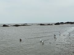 -辽宁团山国家级海洋公园