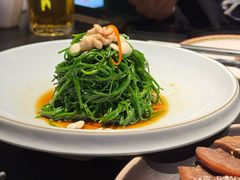 凉拌鲜沙葱-蒙料·手把肉(望京店)