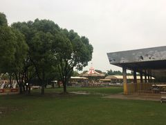 -上海海湾国家森林公园