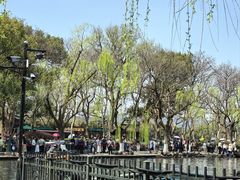 -西湖外事游船(花港观鱼码头)