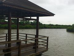 景点-大湾区中央湿地公园