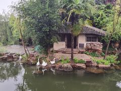 -水绘园