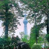 周末亲子|🌳亚艺➕文华公园✨➀站式溜娃拍照[胜利]
