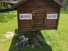 -上海野生动物园