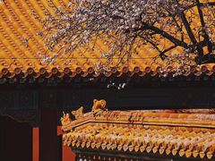 -故宫博物院(故宫)