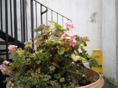 -大隐国际青年旅舍(上海陆家嘴东方明珠店)