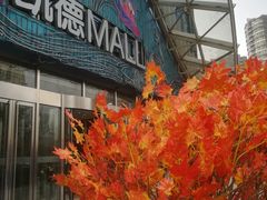 门面-凯德MALL(望京店)
