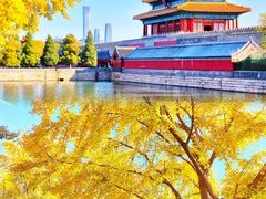-故宫博物院(故宫)