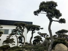 -罗红摄影艺术馆