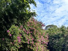 -广州市白云山风景名胜区