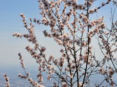 -北京凤凰岭