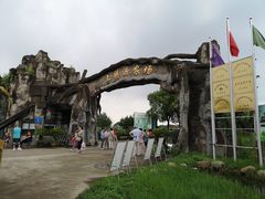 -上膳源有机农场