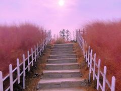 -嘉北郊野公园