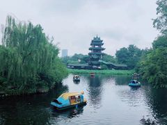 -桂湖森林公园