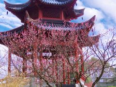 -梅花山(明孝陵内)