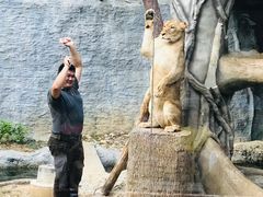 -清迈夜间动物园