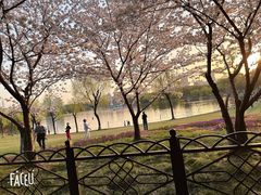 -黄兴公园