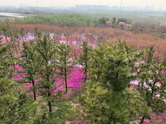 -南通洲际绿博园