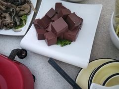 -墨脱石锅椰子鸡•香草鸭•东山羊(大东海店)