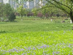 -汉长安城未央宫国家考古遗址公园