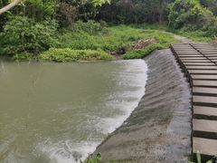 -桤木河湿地公园