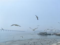 -星海广场