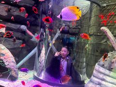 -沈阳海洋探索中心