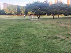 -泰丰公园