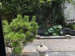-汤宴·参须肚包鸡(南京路店)