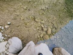-雁荡山大龙湫景区