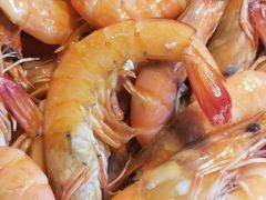 -胶东海鲜大排档(北太平庄店)