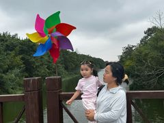 -黄海国家森林公园