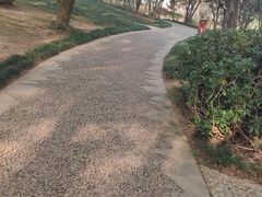 -无锡梅园公园