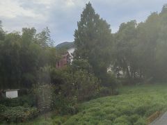 -野蔓果·山野菜(西湖景区·龙井茶田店)