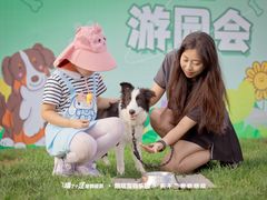 -趣玩宠物乐园寄养训犬训狗游泳池