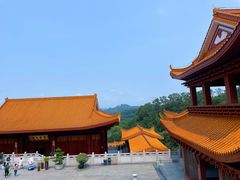 -深圳仙湖植物园