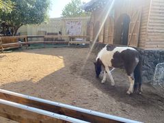 -HERRE·FARM 赫尔露营农场·团建聚会包场