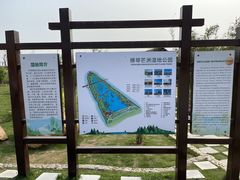 -芒洲湿地公园
