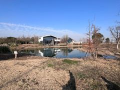 -田园东方蜜桃村的田野营地