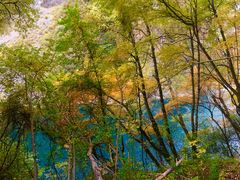 -叠溪松坪沟景区