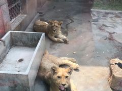 -西安秦岭野生动物园