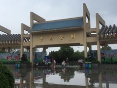 -小李子油焖大虾(南浦店)