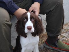 -青岛汇泉商业广场