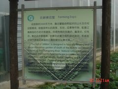 -上海都市菜园