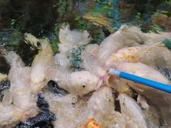 -哈尔滨极地公园