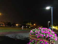 -万绿园