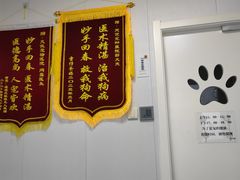 -天使宠物医院·犬猫分诊(彩虹店)