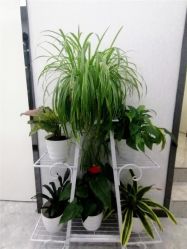 -痘博士昆明·国际祛痘领跑品牌