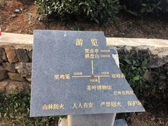 -中国茶叶博物馆(双峰馆区)
