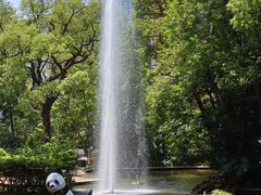 -九龙公园